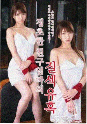 韩剧秘密森林剧集封面